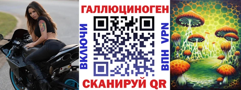 Псилоцибиновые грибы Psilocybe  Крым 